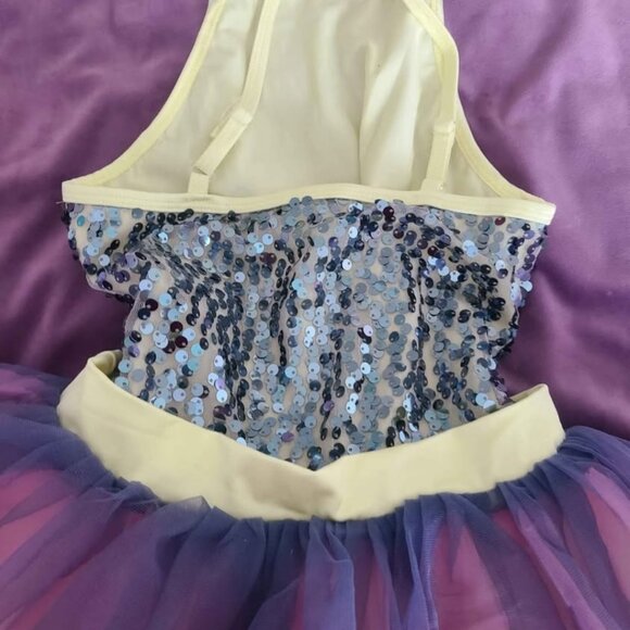 Large child ballet dance tutu costume dress - Picture 2 of 5